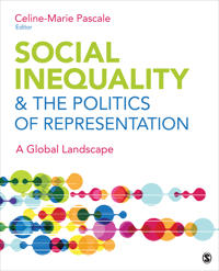 Social Inequality & the Politics of Representation