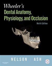 Wheeler's Dental Anatomy, Physiology and Occlusion