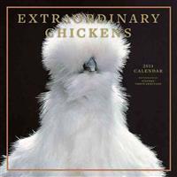 Extraordinary Chickens 2014 Wall Calendar