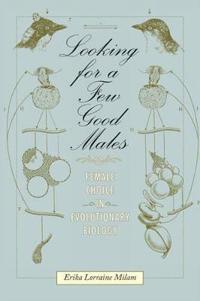 Looking for a Few Good Males