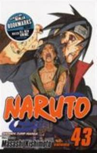 Naruto 43