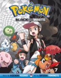 Pokemon Black & White