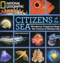 Citizens of the Sea