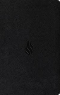Value Thinline Bible-ESV-Flame Design
