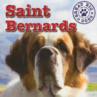 Saint Bernards