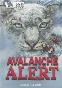Avalanche Alert