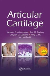 Articular Cartilage
