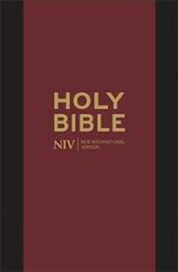 The Holy Bible: New International Version.