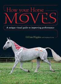 How Your Horse Moves