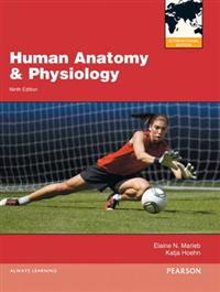 Human AnatomyPhysiology/interactive Physiology 10-system Suite CD-ROM (component)/a Brief Atlas of the Human Body (valuepack Only)