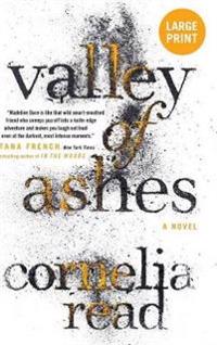 Valley of Ashes