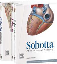 Gray's Anatomy for Students + Atlas of Human Anatomy English/Latin Single Volume Edition