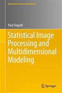Statistical Image Processing and Multidimensional Modeling