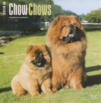 Chow Chows 2014 Wall Calendar