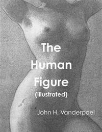 The Human Figure (Illustrated)