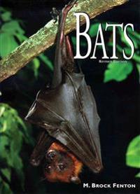Bats