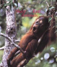 Sleep and Rest in Animals