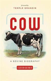 Cow: A Bovine Biography