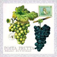 Posta Frutta - Postcard Book
