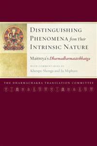 Distinguishing Phenomena from Their Intrinsic Nature