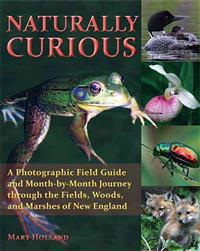 Naturally Curious: A Photographic Field Guide and Month-By-Month Journey Through the Fields, Woods, and Marshes of New England