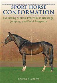 Sport Horse Conformation: Evaluating Athletic Potential in Dressage, Jumping and Event Prospects