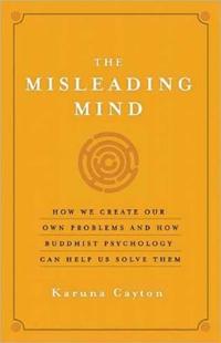 The Misleading Mind