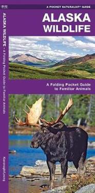 Alaska Wildlife: An Introduction to Familiar Species