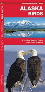 Alaska Birds: An Introduction to Familiar Species