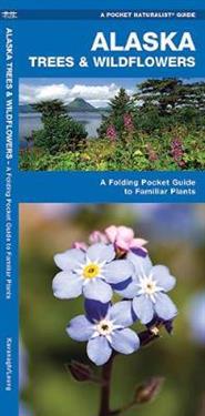 Alaska Trees & Wildflowers: An Introduction to Familiar Plants