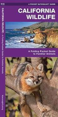 California Wildlife