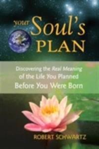 Your Soul's Plan