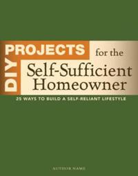 DIY Projects for the Self-sufficient Homeowner