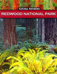 Redwood National Park: Forest of Giants