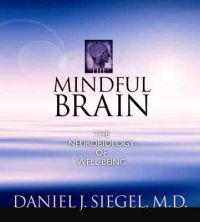 The Mindful Brain