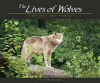 The Lives of Wolves: Coyotes and Foxes