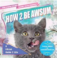 How 2 Be Awsum: A Lolcat Guide 2 Life
