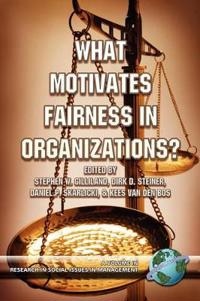 What Motivates Fairness in Organizations?