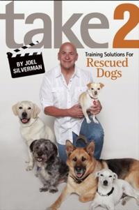 Take 2: Training Solutions for Rescued Dogs