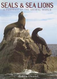 Seals & Sea Lions: A Portrait of the Animal World