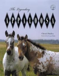 The Legendary Appaloosa: A Tribute in Words and Photos