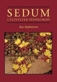 Sedum