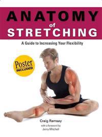 Anatomy of Stretching