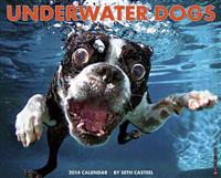 Underwater Dogs Wall Calendar