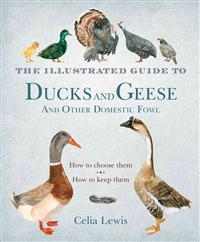 The Illustrated Guide to Ducks and Geese and Other Domestic Fowl: How to Choose Them. How to Keep Them.