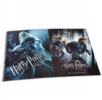 Harry Potter Definitive Movie Posters