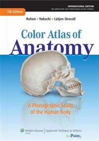 Color Atlas of Anatomy
