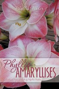 Phyllis' Amaryllises