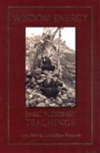 Wisdom Energy