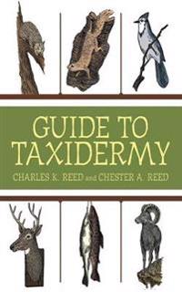The Complete Guide to Traditional Taxidermy